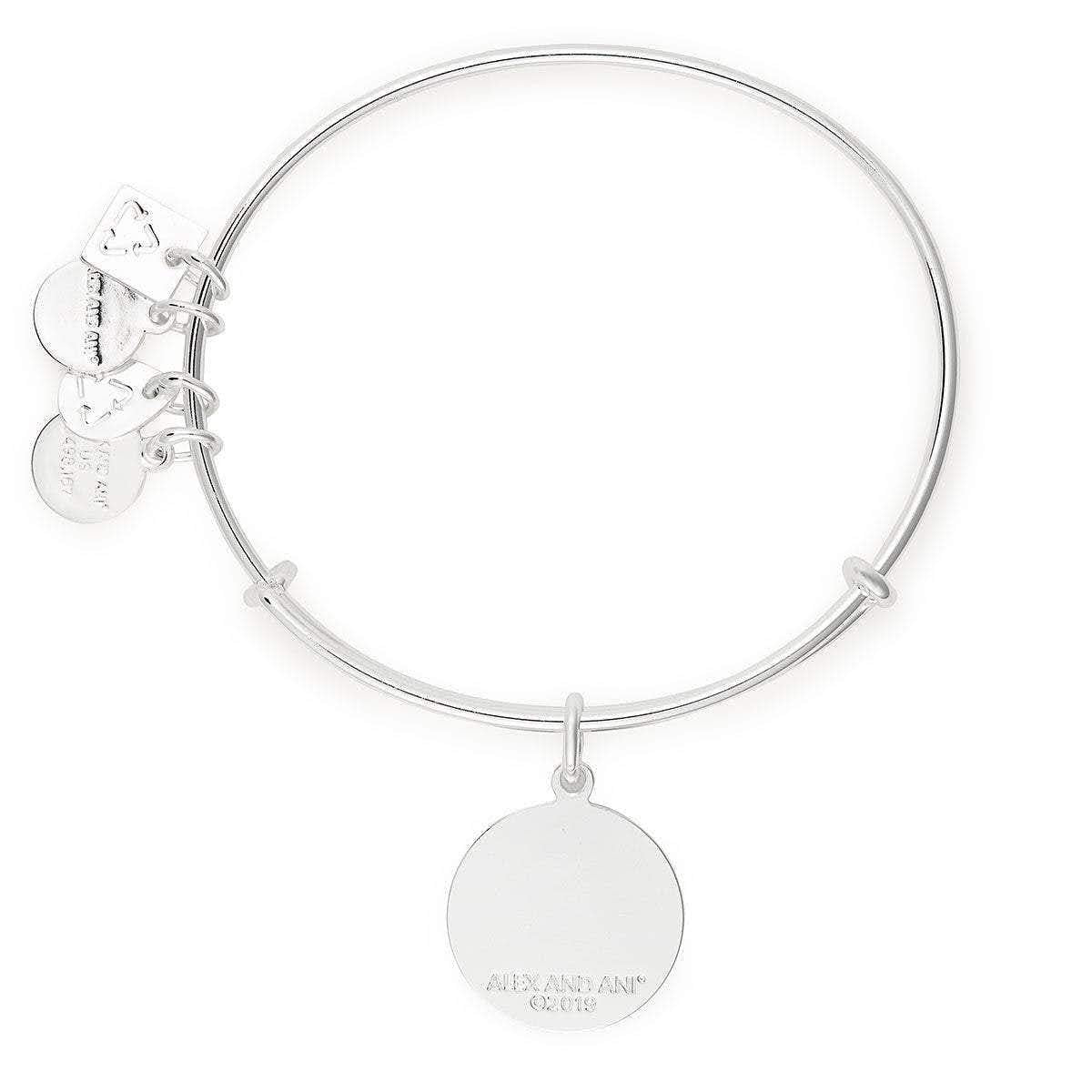 Alex and ANI Path of Symbols Expandable Bangle for Women, Arrows of Friendship Charm, Shiny Finish, 2 to 3.5 in