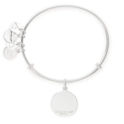 Alex and ANI Path of Symbols Expandable Bangle for Women, Arrows of Friendship Charm, Shiny Finish, 2 to 3.5 in
