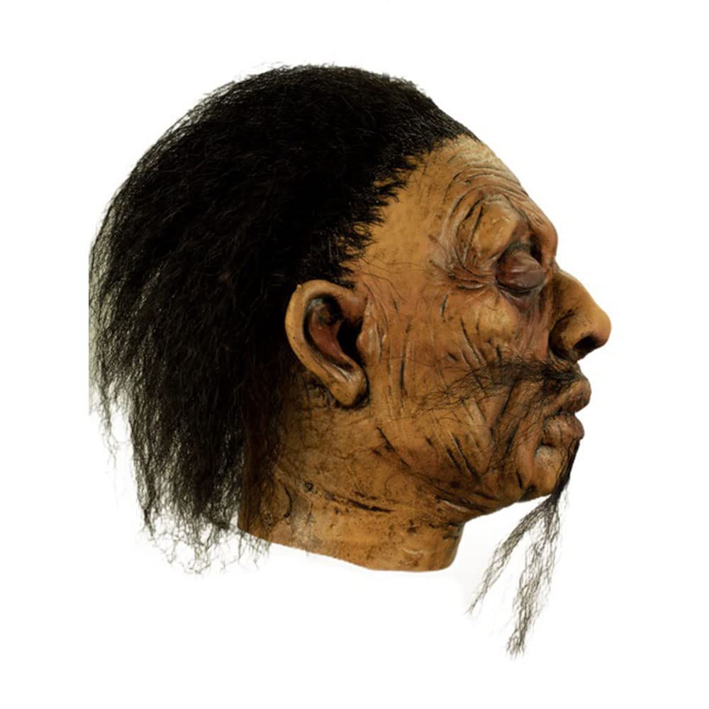 Ghoulish Productions Shrunken Head A - 1, Artículo Decorativo de Craneo Encogido de Brujo, Adorno para Decoración de Halloween de Cabeza Pequeña Ideal para Casa de Terror y Día de Muertos
