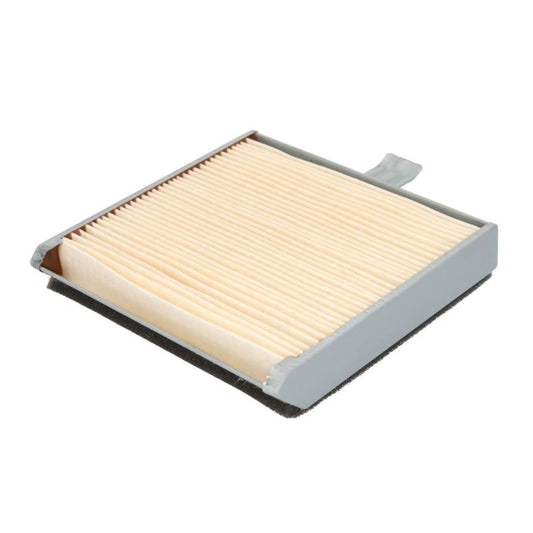 Hiflofiltro Premium OEM Filtro de Aire de Repuesto HFA3608, Negro