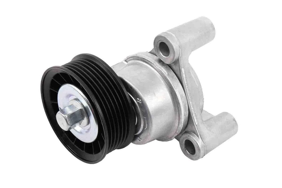 GM Genuine Parts Tensor de Correa de Transmisión 12609719