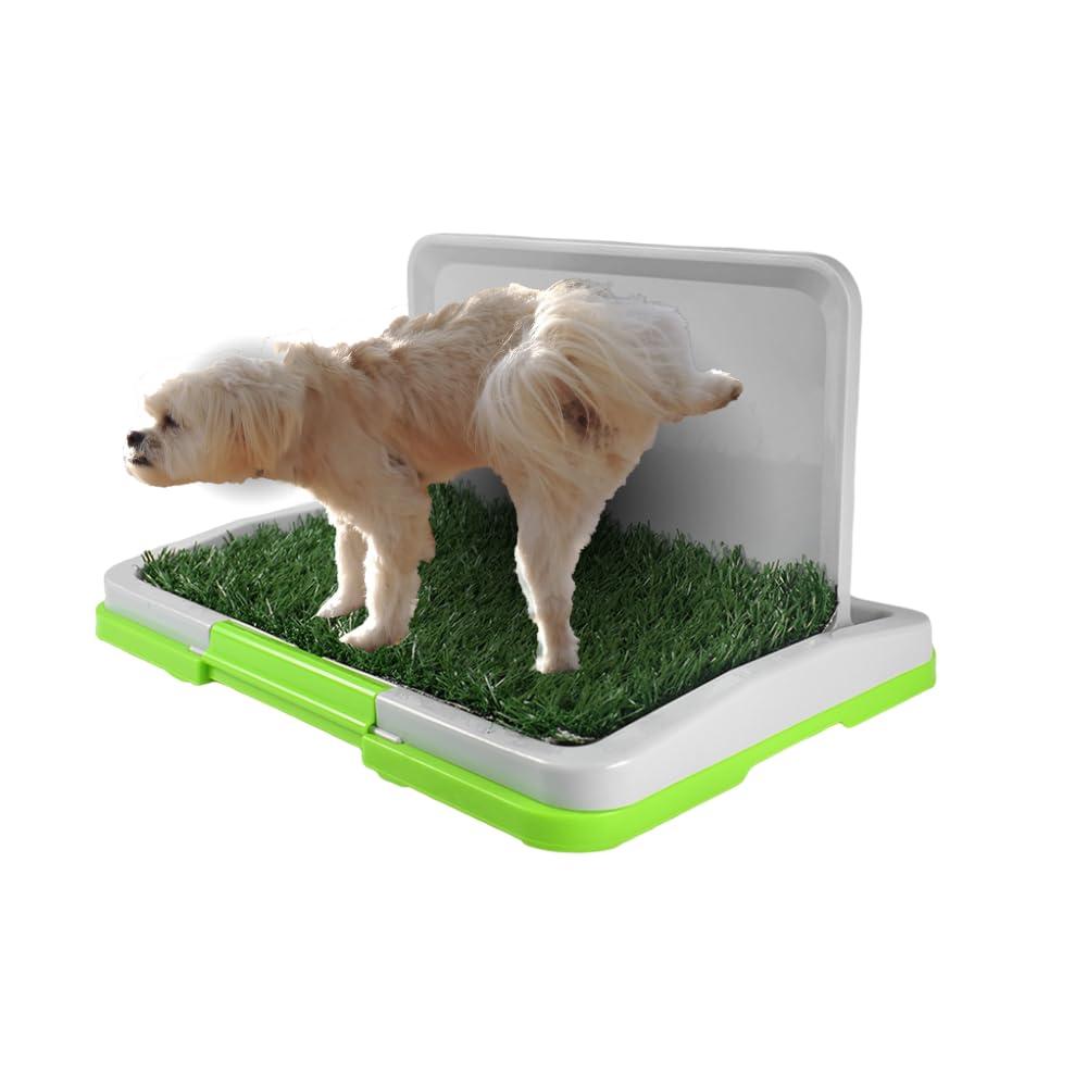 Fancy Pets Tapete Entrenador Doggie Grass para Perros Machos de Tamaño Mini