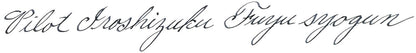 Pilot Iroshizuku Tinta para Pluma Fuente, Gris (Fuyu-Syogun), 50 ml