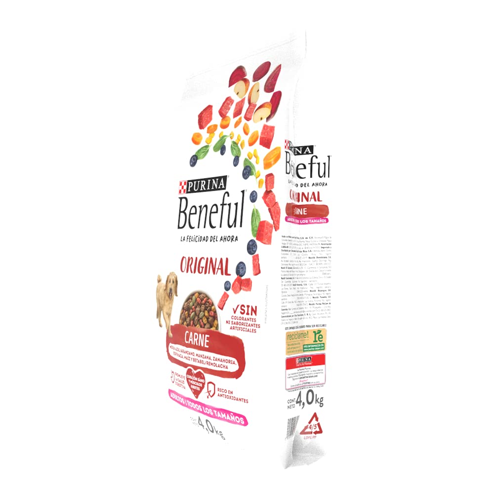 Purina Beneful Sunrise 7501072203595 Comida para Perros Adulto, 4 kg