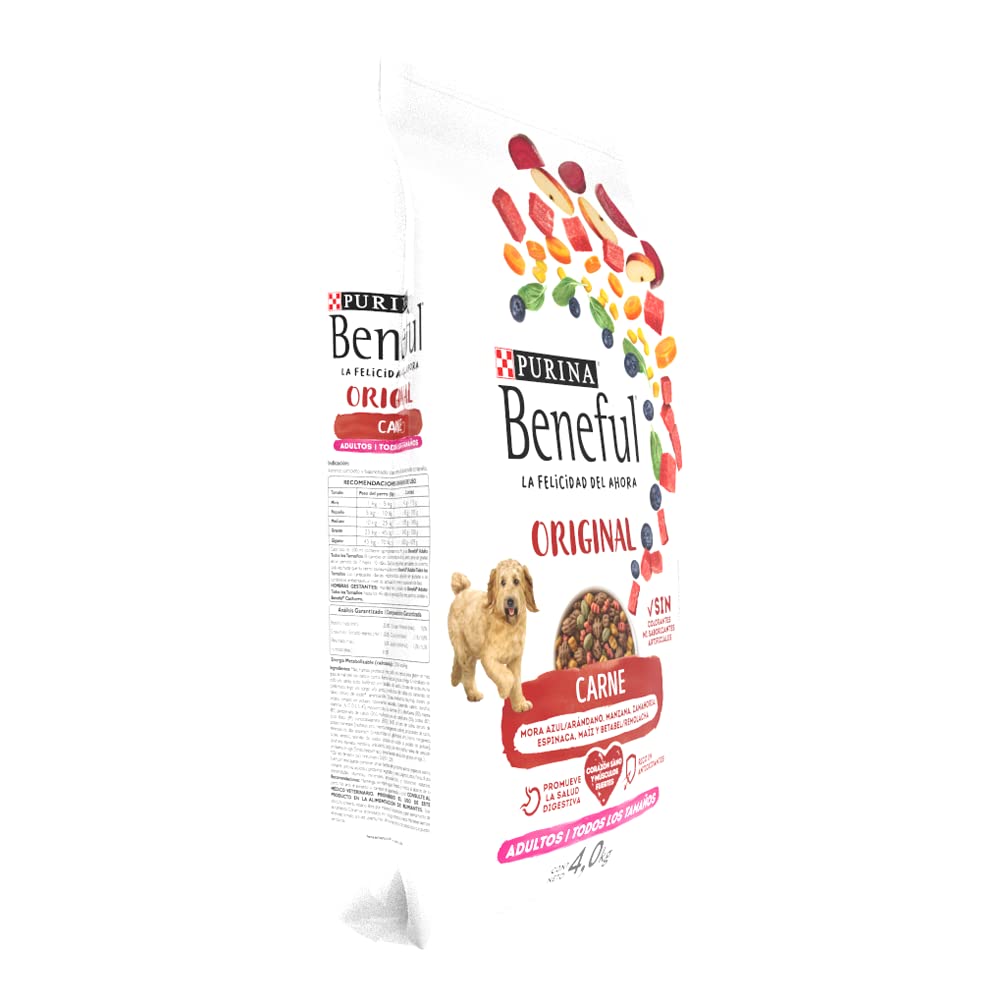 Purina Beneful Sunrise 7501072203595 Comida para Perros Adulto, 4 kg