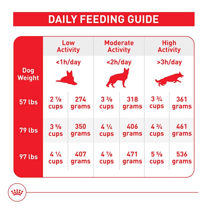 ROYAL CANIN - Croquetas para Perro Talla Grande, Large Adult 7.72 Kg