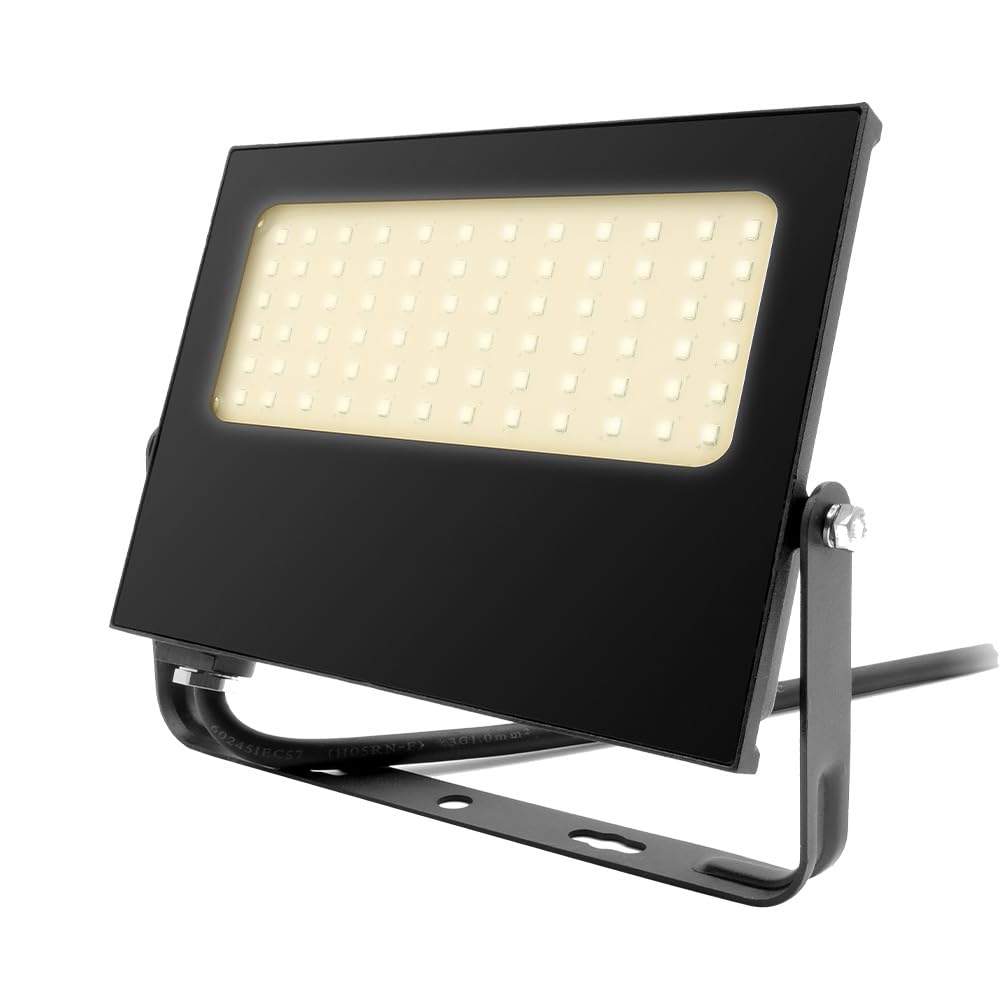 Tecnolite - Reflector LED Exterior 50 W, Luz Cálida Brillante, IP66 - IK05 Resistente a Polvo, Agua y Golpes, Jardines e Idustria, LED Flood Light