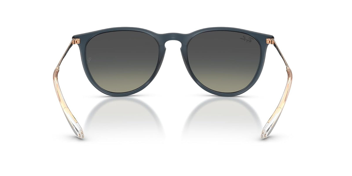 Ray-Ban RB4171 Erika Round Sunglasses