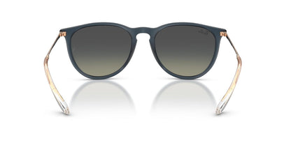 Ray-Ban RB4171 Erika Round Sunglasses