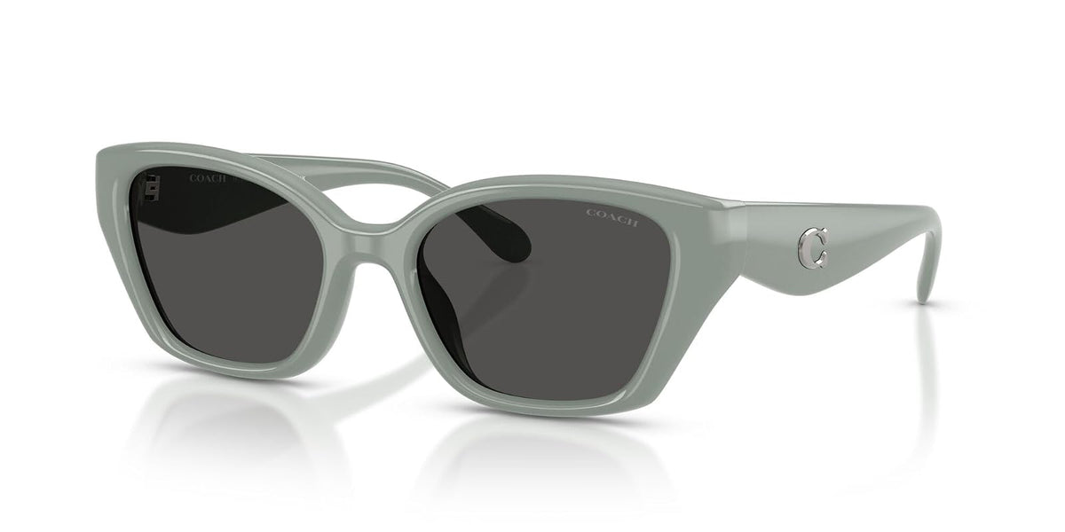 COACH Hc8434u Universal Fit Gafas Mujer
