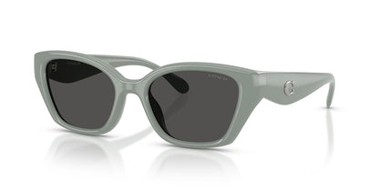 COACH Hc8434u Universal Fit Gafas Mujer
