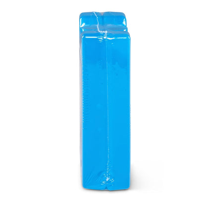 Igloo Maxcold - Bloque de Hielo pequeño, Paquete de 2, Color Azul