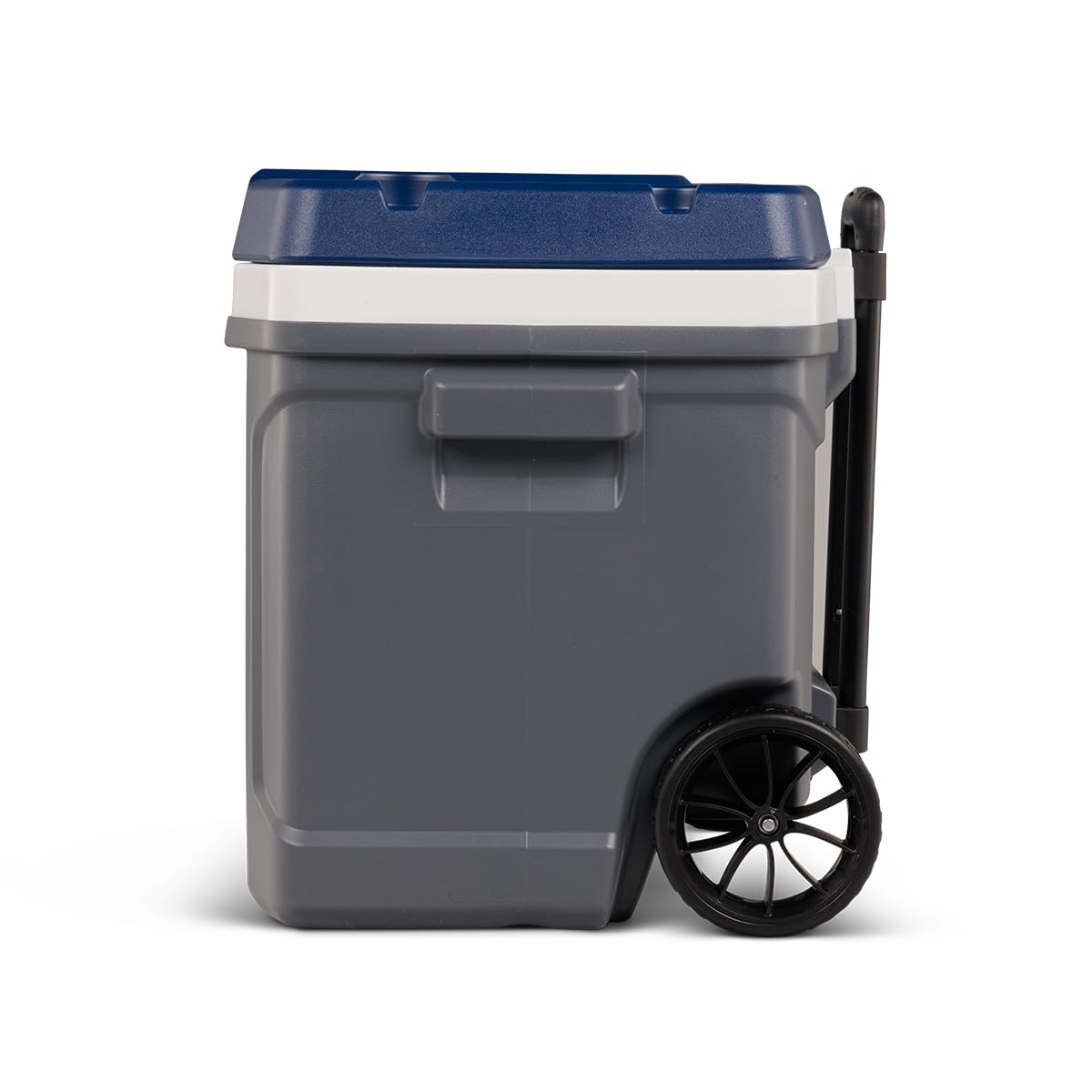 Igloo Maxcold - Enfriadores duros (40-62QT)