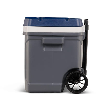 Igloo Maxcold - Enfriadores duros (40-62QT)