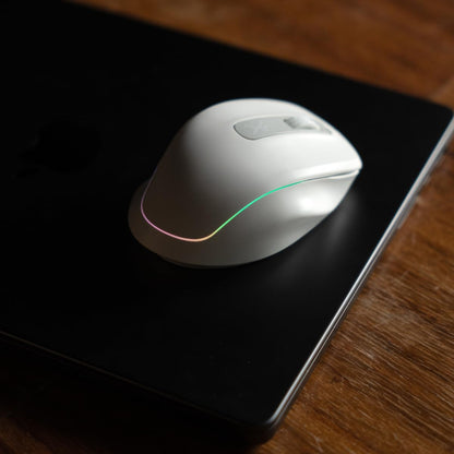 PERFECTCHOICE Mouse Inalámbrico Recargable Click Silencioso Lumiere Pro