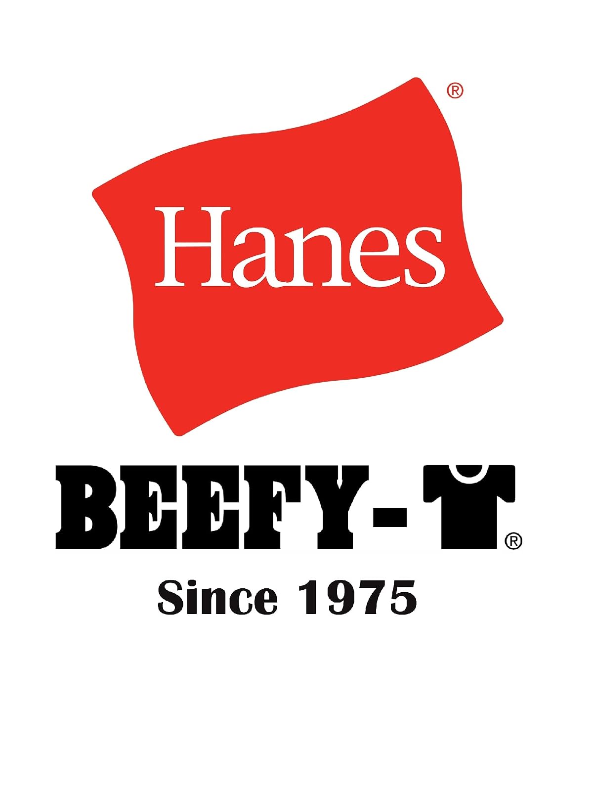 Hanes Men's Short Sleeve Beefy-t