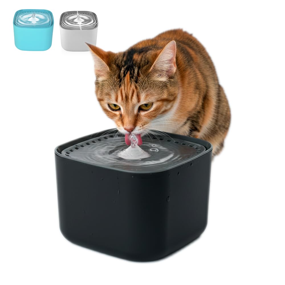 Fancy Pets Bebedero Automático para Perros y Gatos, 3L, con Filtro de Carbón Activado, Agua Fresca, Recirculación Silenciosa, Diseño Cubo Negro
