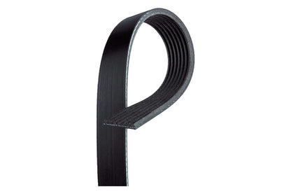 ACDelco Correa Serpentina Acanalada en V 12634319, 46.5 cm, Negro
