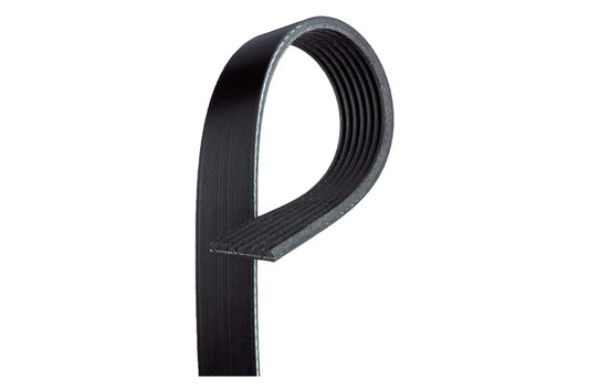 ACDelco Correa Serpentina Acanalada en V 12634319, 46.5 cm, Negro