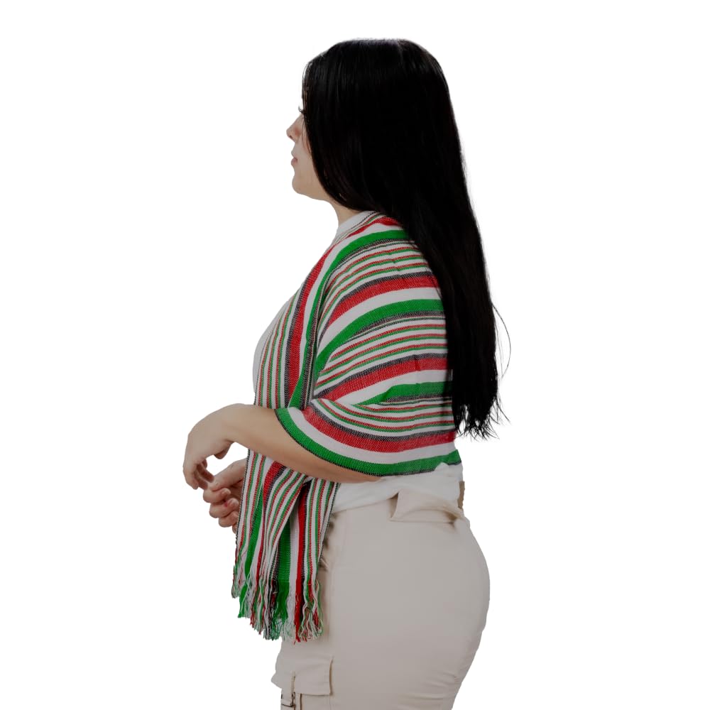 REV Accesorios Reboso Básico Tricolor, Vestimenta Fiestas Patrias Mexicanas, Diseño Viva México, 45x105cm