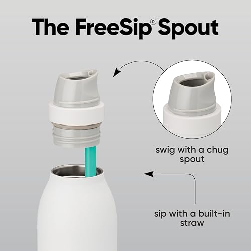 Owala FreeSip Twist - Botella de agua de acero inoxidable con popote para deportes y viajes, sin BPA, 24 onzas, ponche de frutas
