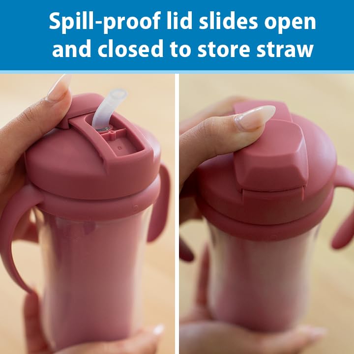 Dr. Brown's Milestones - Taza aislada para sorbos con popote y asas, vaso a prueba de derrames con tapa, paquete de 2, rosa, 10 onzas, 300 ml, sin BPA, 12 m +