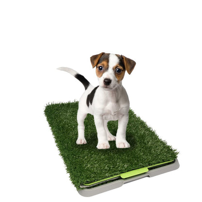 Tapete de entrenamiento Doggie Grass Fancy Pets, pasto sintético con bandeja y rejilla - CH