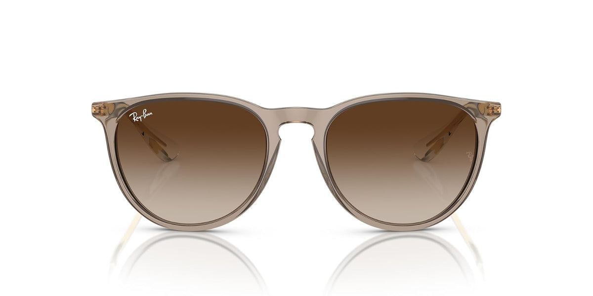 Ray-Ban Rb4171 Erika Round Sunglasses