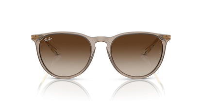 Ray-Ban Rb4171 Erika Round Sunglasses
