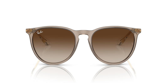 Ray-Ban Rb4171 Erika Round Sunglasses
