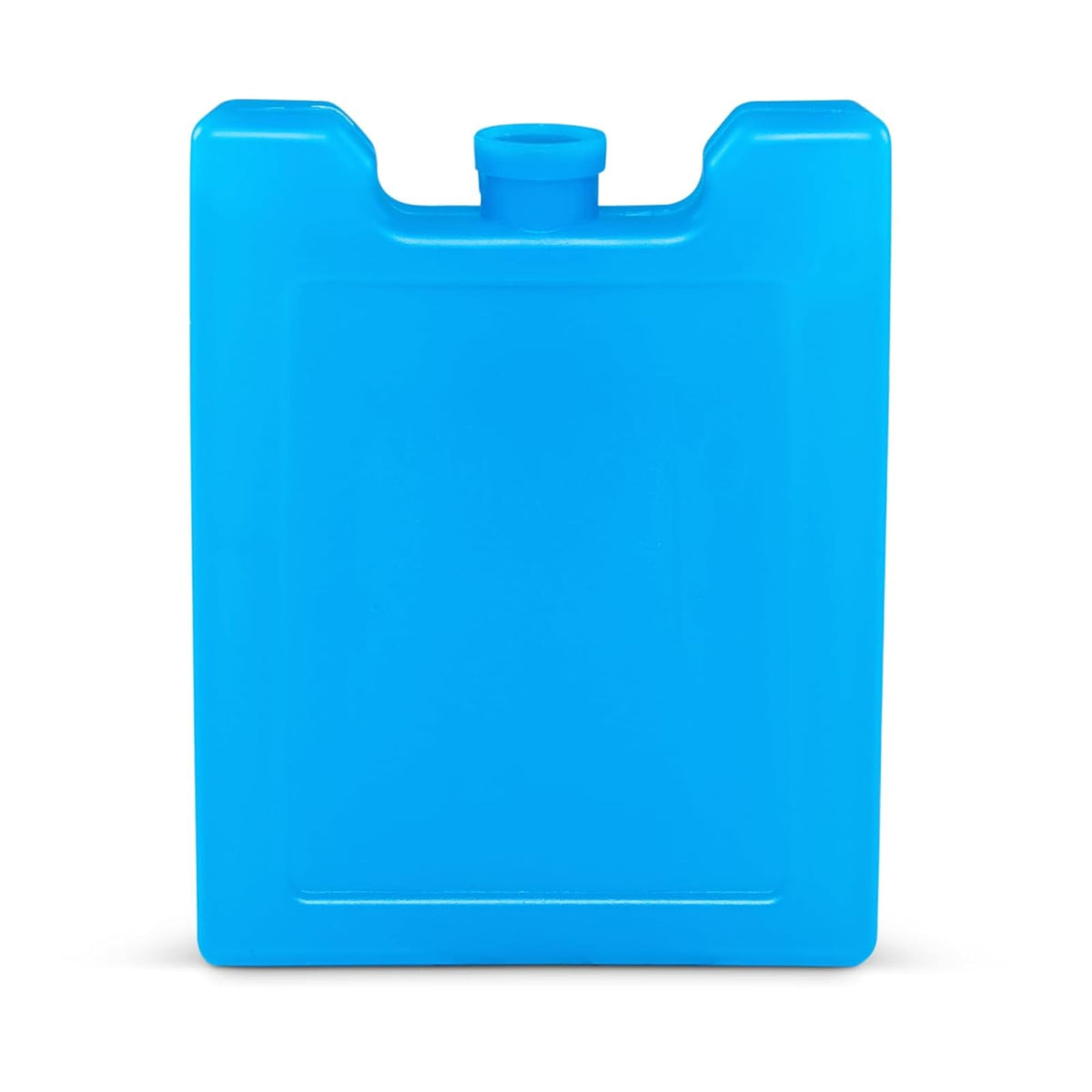 Igloo Maxcold - Bloque de Hielo pequeño, Paquete de 2, Color Azul