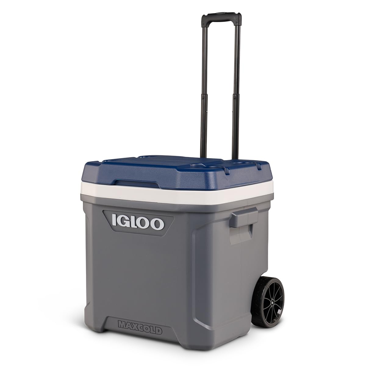 Igloo Maxcold - Enfriadores duros (40-62QT)