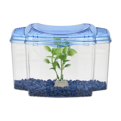 Lomas Kit Betera Azul 1.8 L para Peces, con Grava y Planta Decorativa