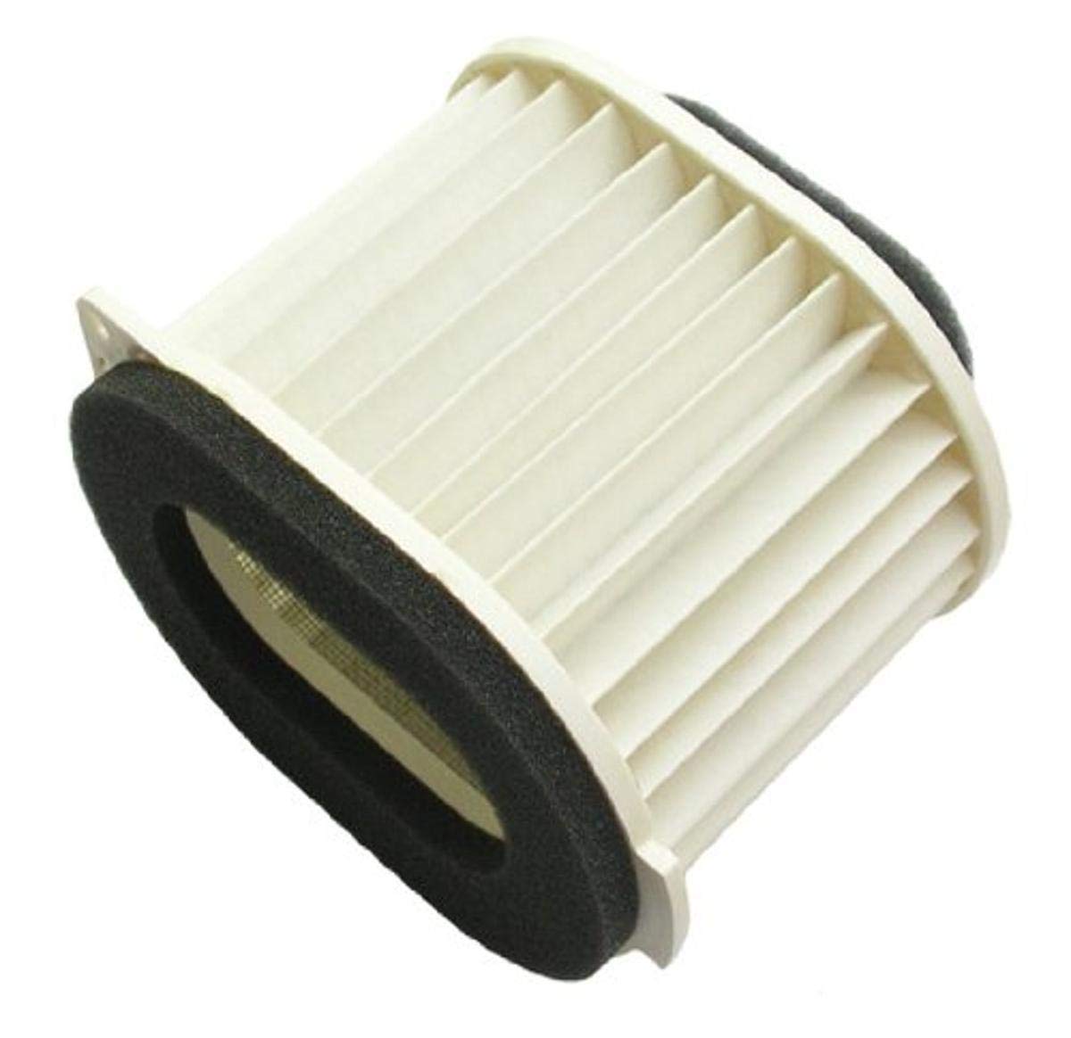 Hiflofiltro HFA4918 Premium OE Filtro de aire, negro