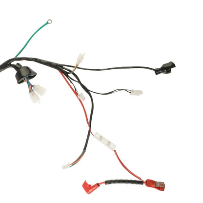 ITALIKA Arnés Principal Compatible con 125Z