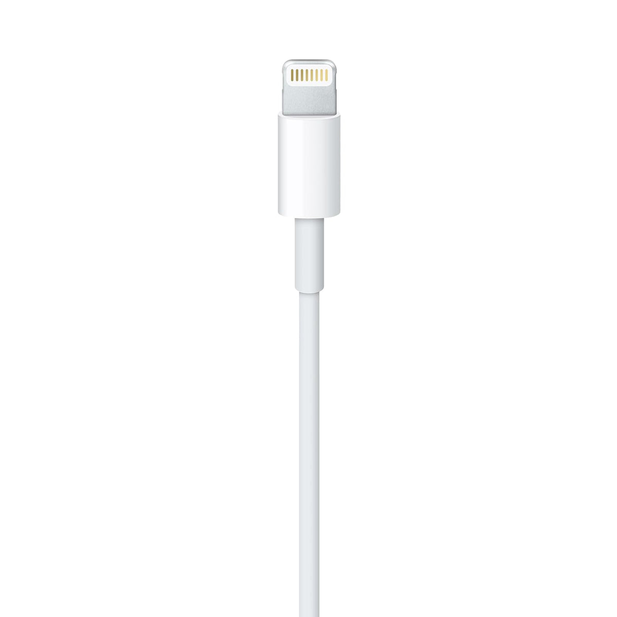 Apple Cable Lightning a USB (1 m) ​​​​​​​