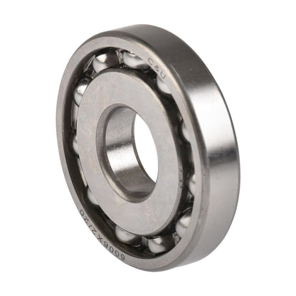 Italika E06010104 Balero Radial Bolas 6006 x 2/20, Gris