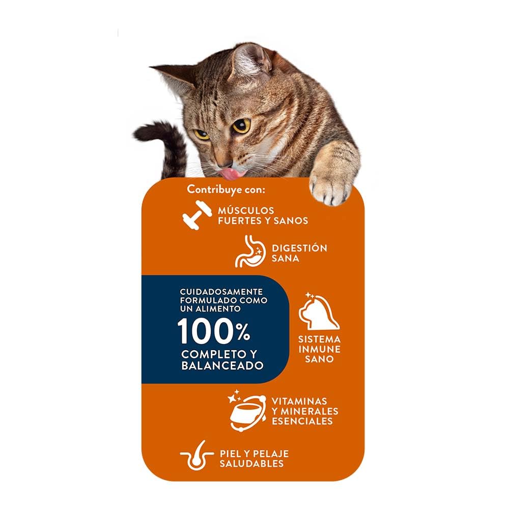 Felix Purina Gatina Adulto Todos los Tamaños Sabor Carne, Pollo y Verduras 3Kg
