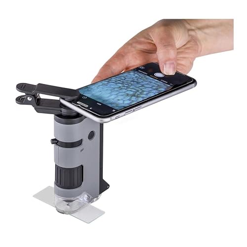 Carson Microflip 100X-250x - Microscopio de Bolsillo con Luz LED y UV, Base Deslizante Abatible y Clip de Digitalización para Smartphone (MP-250 o MP-250MU), Paquete Individual, Gris, una Talla