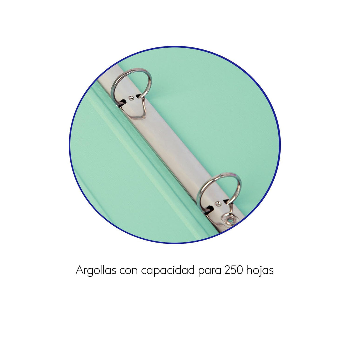 Kit de 4 Carpetas para Archivo plastificada Tamaño Carta 1pg - Verde Menta