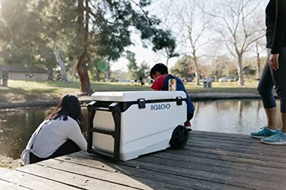 Igloo Coolers Marine Series, Insulated Portable Hard Side Cooler Ice Chest, Great for Fishing, Camping, Boating, & More