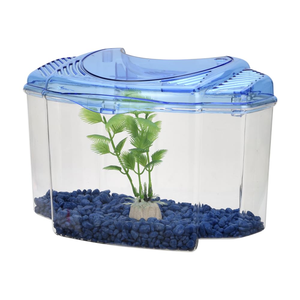 Lomas Kit Betera Azul 1.8 L para Peces, con Grava y Planta Decorativa