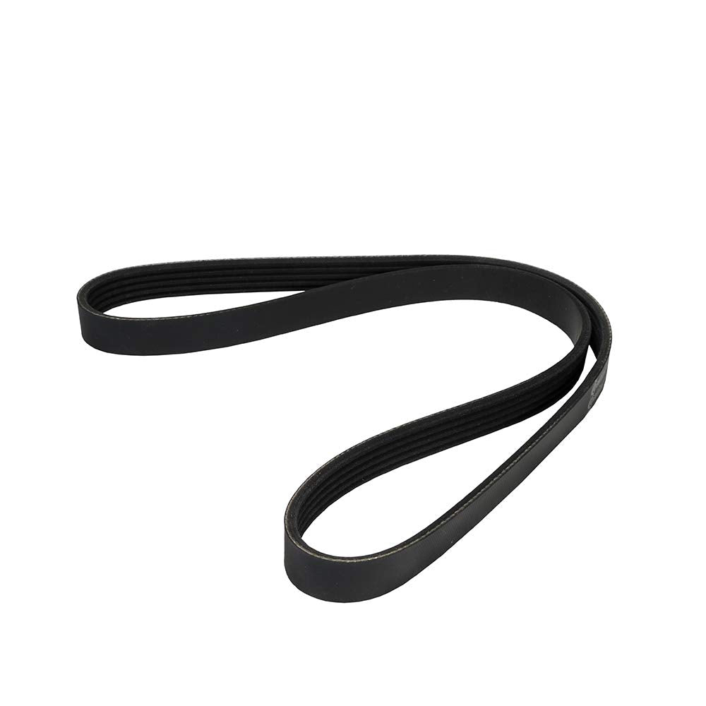 ContiTech 5K925 Banda Multirib K050365