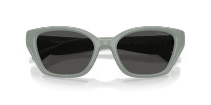 COACH Hc8434u Universal Fit Gafas Mujer