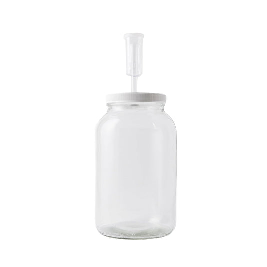 FastRack - Tarro de vidrio de boca ancha con tapa y Econolock Airlock, grande, 1 galón, transparente