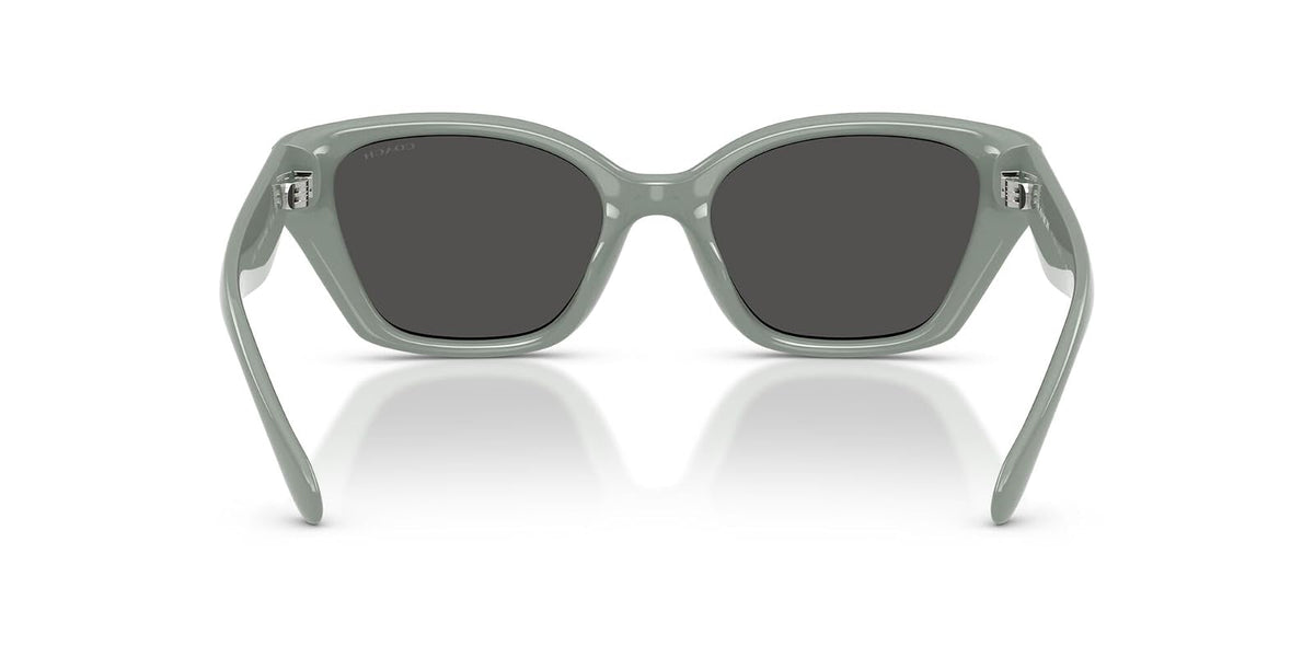 COACH Hc8434u Universal Fit Gafas Mujer
