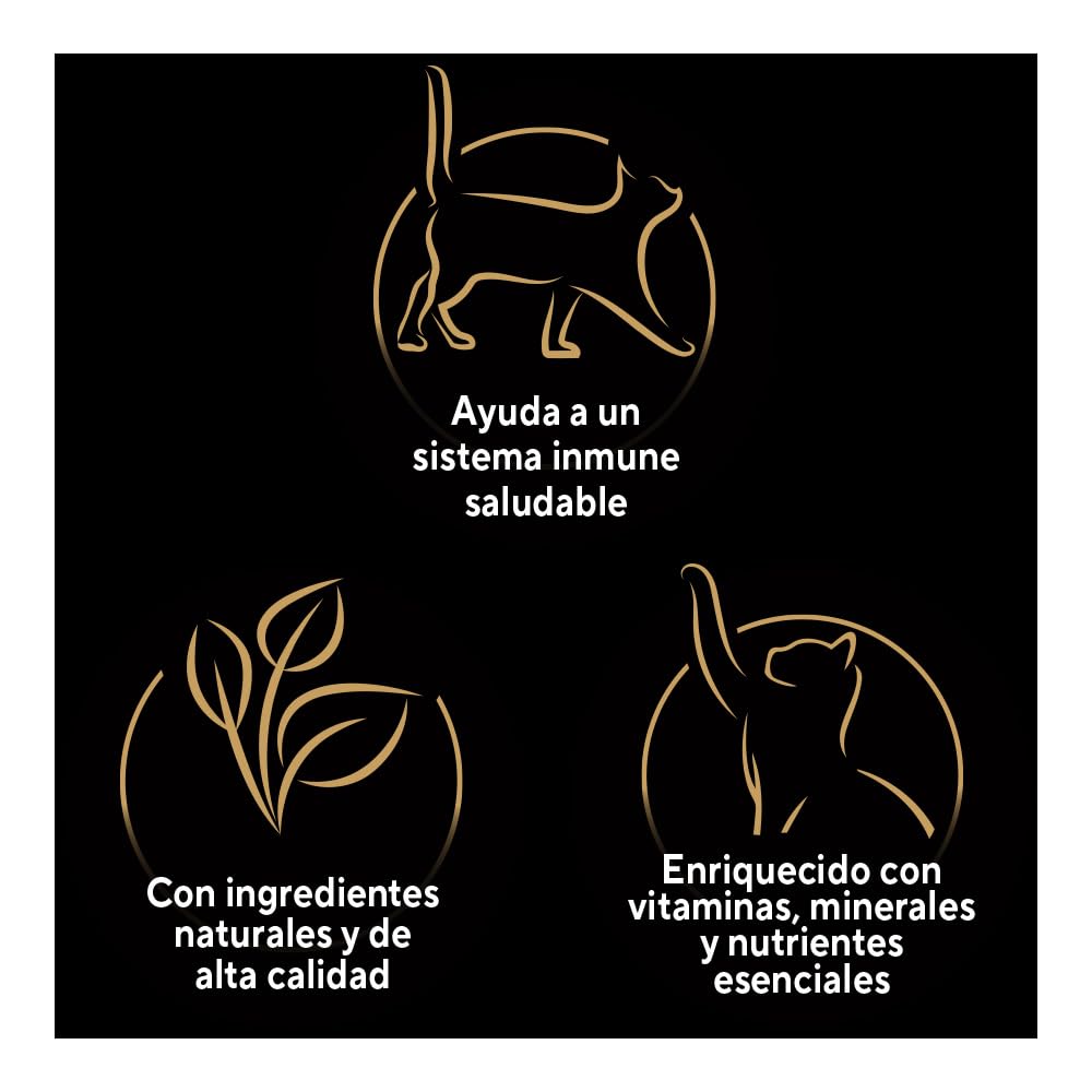 Sheba - Alimento Húmedo para Gato Adulto, Sabor Filetes De Salmón Marinado 85g c/u. Paquete de 24 Unidades, Sin Colorantes ni Sabores Artificiales