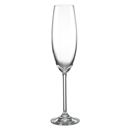 Lenox Tuscany Classics - Juego de copas de champán, compra 4, consigue 6, 1,5 kg, transparente