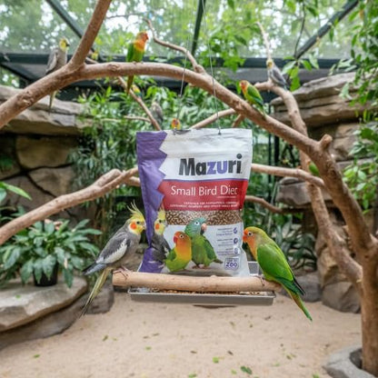 Mazuri Alimento para Aves Grandes (Loros, Cacatúas, Guavamayas, etc.) 650g. | Loros, Cacatúas, Guacamayas