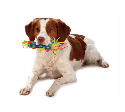 Dog Toy Pet Stages Cool Teething Stick